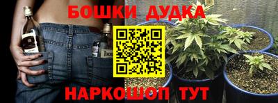 спайс Моздок