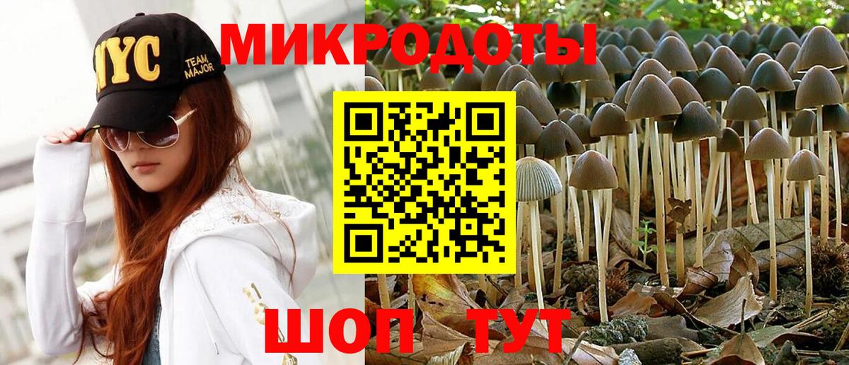 Черногорск  Галлюциногенные грибы Cubensis  Вход с VPN  Псилоцибиновые грибы ЛСД 